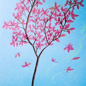 欧美裸体肥婆BBWPR0N
